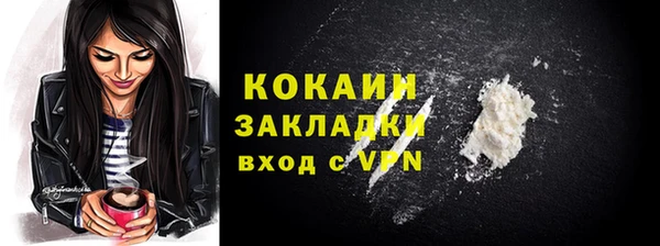 прущие грибы Иннополис