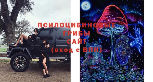 не бодяженный Каменногорск