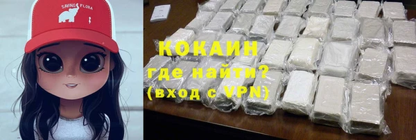 шишки Вяземский
