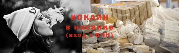 шишки Вяземский