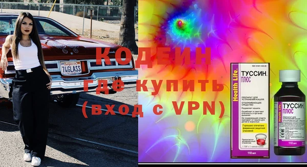 шишки Вяземский