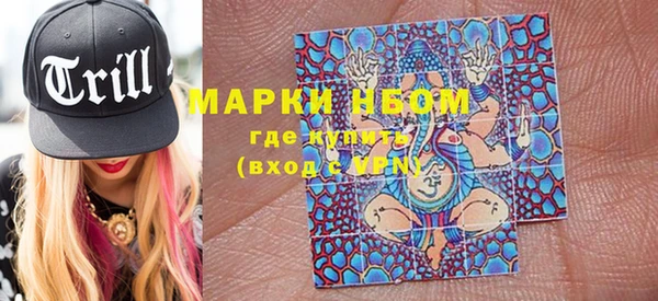 шишки Вяземский